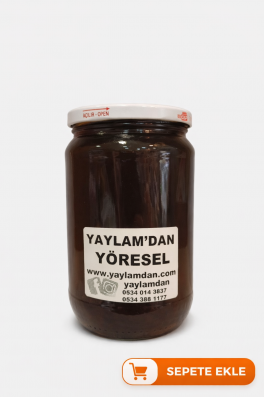 Kestane Balı 1000 GR